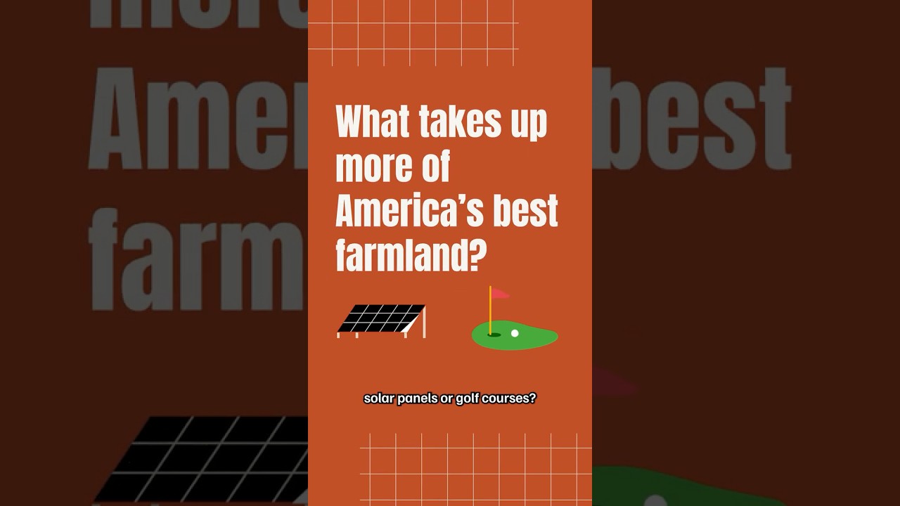 No, Solar Isn't Eating Up American Farmland. Here's the Proof. #shorts #solarenergy #farming