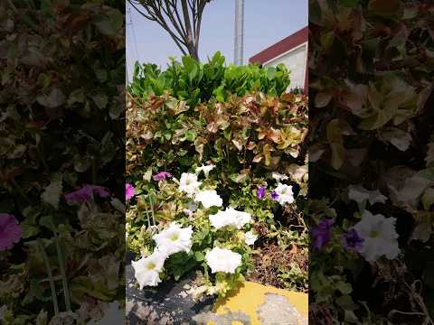 #instagood #10klikesforlikes #10kilike #10kliking #tagblender