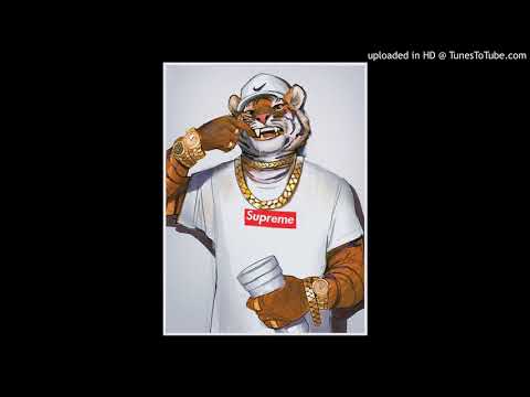 Margi & Cristal Kid - Typ