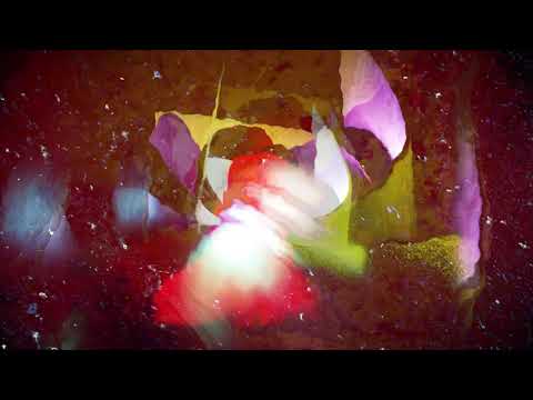 Shapednoise - Aesthesis (album on Numbers - 'CRx Aureal')