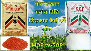 पोटाश खाद की जानकारी ।। Use, Dose, Price of Potash Fertilizer ।।