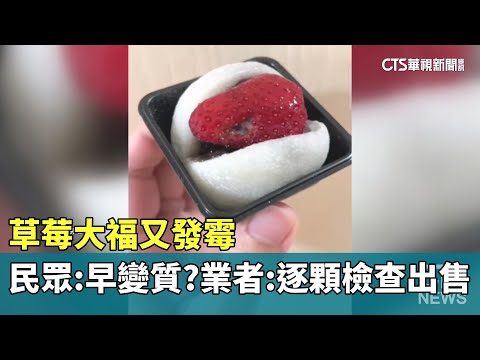 草莓大福又發霉　民眾：早變質？業者：逐顆檢查出售