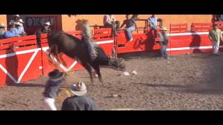 preview picture of video 'TORO DE 11 EN EL GRULLO JALISCO 2013. RANCHO LOS POTRILLOS Y RANCHO LA HERRADURA.'