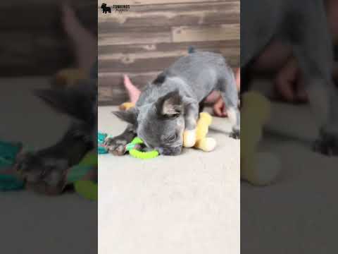Video 2