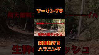 An unexpected incident during a touring trip #ct125 #huntercub #offroadbike