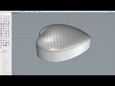 Rhino Tips and Tricks. How to make a Dome Heart with Patch Command