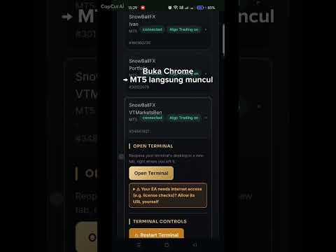 VPS Forex Murah Tanpa RDP: Jalankan EA MT4/MT5 24 Jam dari Browser HP