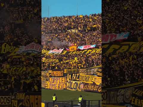 "PEÑAROL " Barra: Barra Amsterdam &bull; Club: Peñarol