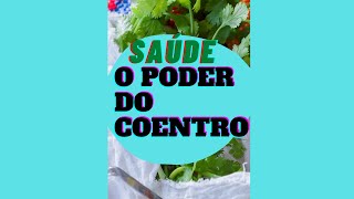O poder do COENTRO para sua SAÚDE (BENEFÍCIOS) #shorts