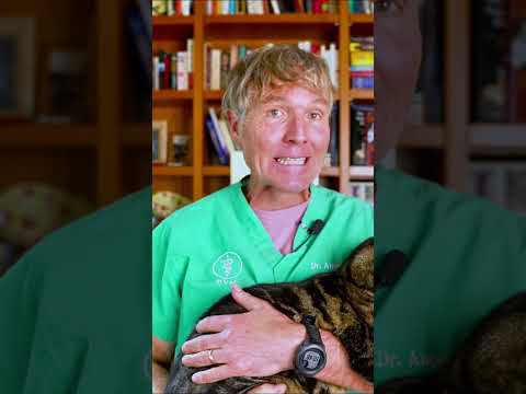 ‘don’t use Vaseline, it’s not natural.’ #petroleumjelly #vaseline