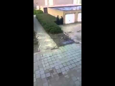 Holenderska policja w akcji 