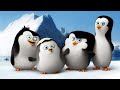 Penguins of Madagascar full movie ll baby penguin ll Hindi dubbed ll Little baby penguin