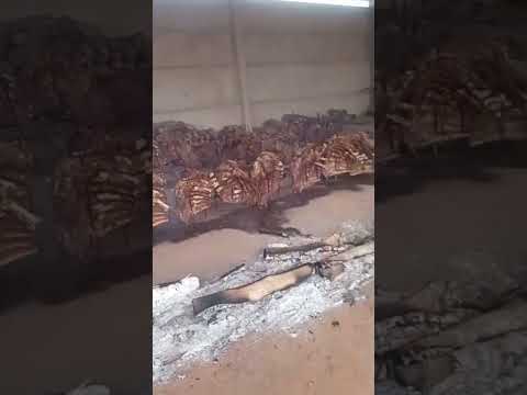 Leilão Direito de Viver  Alta Floresta D’Oeste/RO 1 show de solidariedade, união e amor ao próximo!