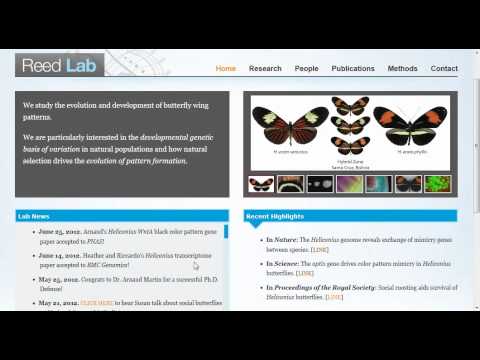 Browsing Butterflies with GBrowse and Ensembl