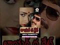 Lawyer The Great Movie Mounam Sammadham Telugu Full Movie Amala Mammootty Sarath Kumar