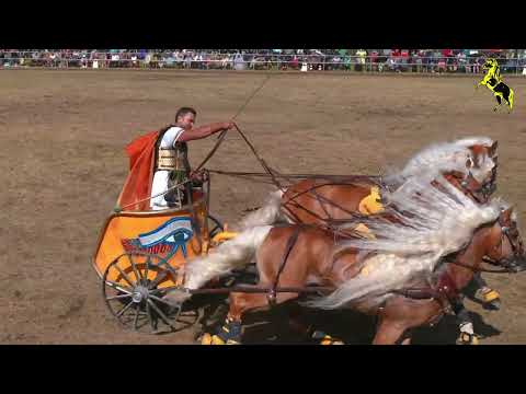Quadriga beim Ponyfest in Wenigenauma mit Claus Luber