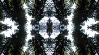 Radiation - A View From Serendip