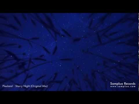 Plexland - Starry Night (Original mix) [HD]