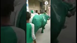 Download lagu Pakistani song || Pakistan Zindabad || Buffalo || Bhainsa || Realty and Thoughts mp3