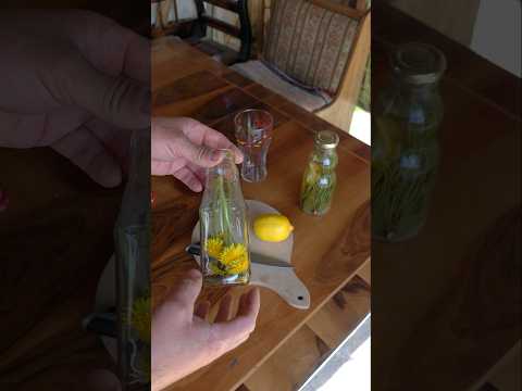 Cum se face Sucul de păpădie (Socată) Naturală 🌼