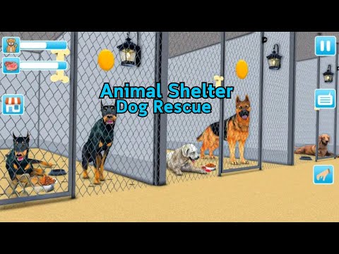 Animal Shelter Dog Rescue Android Gameplay