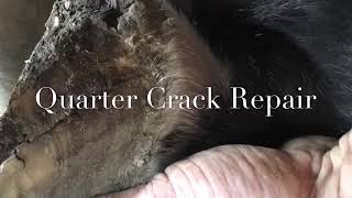 Quarter crack Repair on a horses hoof