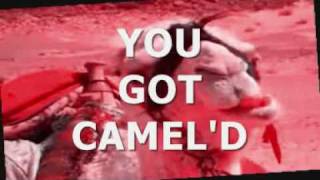 YOU GOT CAMEL'D 3 0