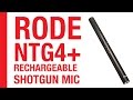 Rode NTG4+ Rechargeable Shotgun Directional ...