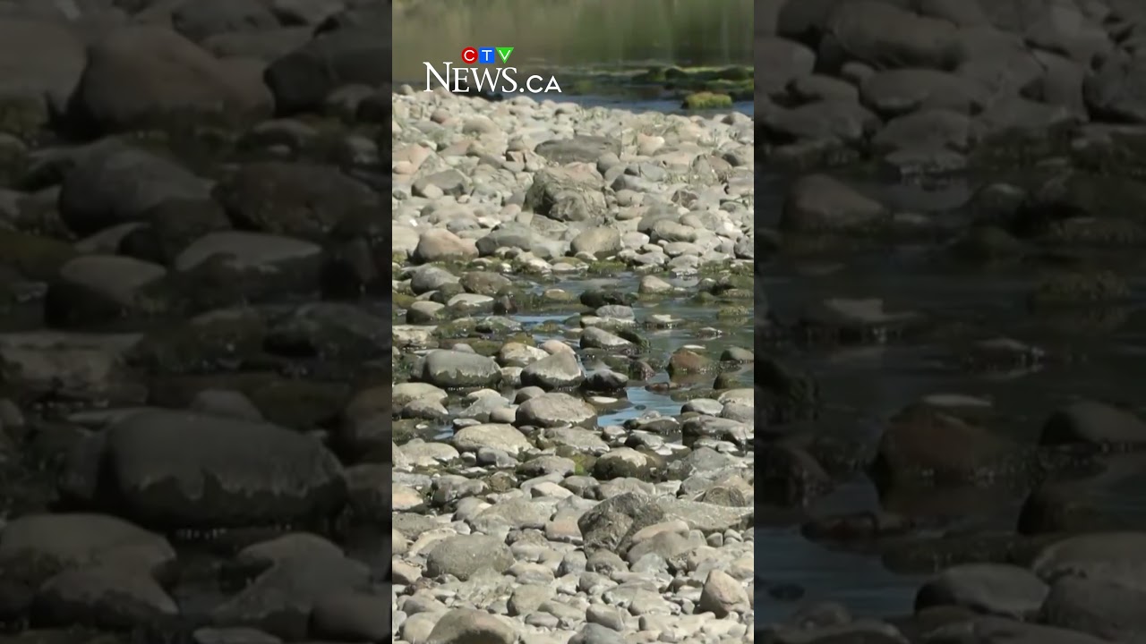 Seasonal water restrictions on Vancouver Island