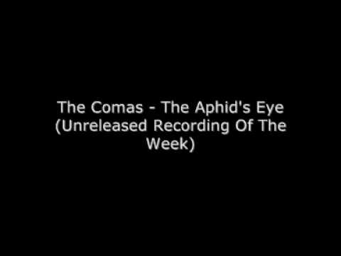 The Comas - The Aphid's Eye