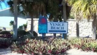 preview picture of video 'FOR THE LOVE OF VENICE FLORIDA Trailer of Video DVD.wmv'