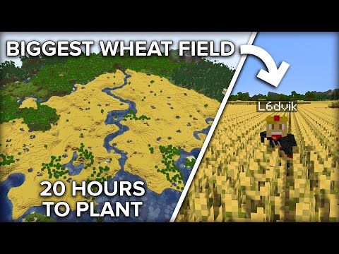 We Made a HUGE Wheat Field in Survival Minecraft And It Took Over 20 HOURS