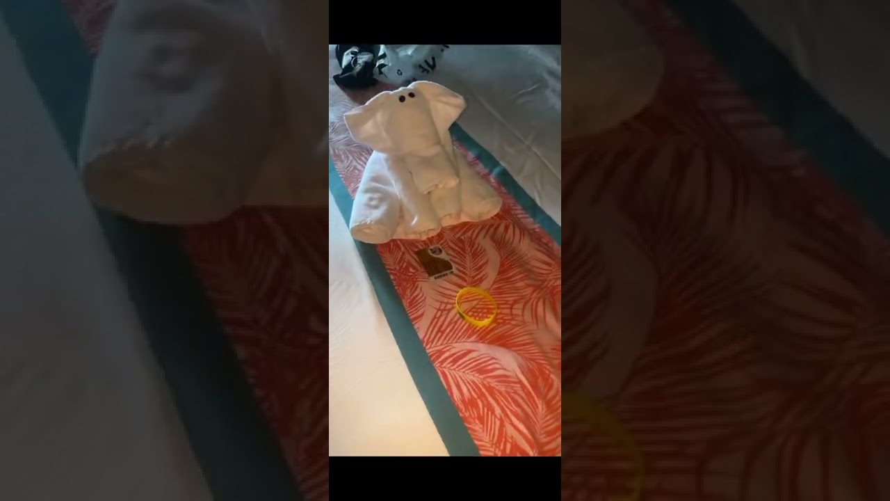 Carnival Panorama - Cabin 5236 - Video 1