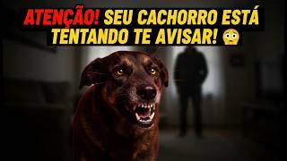 SEU CÃO ROSNA PARA CERTAS VISITAS? E SOBE EM VOCÊ DO NADA? 😳 (ELE ESTÁ TE AVISANDO!) ⚠️