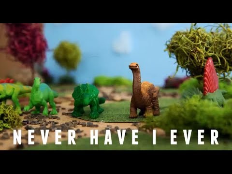 Never Have I Ever video
