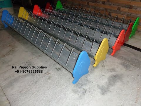 Pigeon Wire Feeder