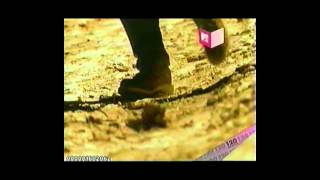 scenic pastures by Archers of Loaf.