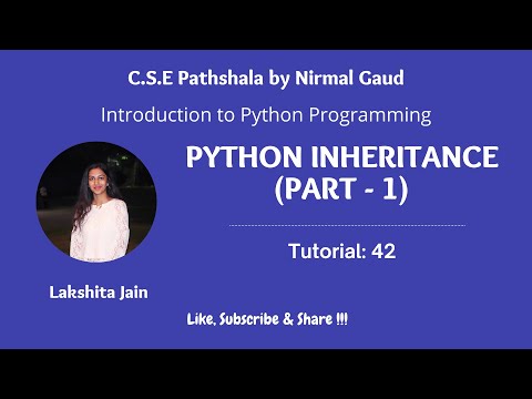 Python Inheritance Part 1 Tutorial 42