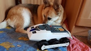 Big Trak Found At Charity Shop : First Test ! ( Dog Attack ! )