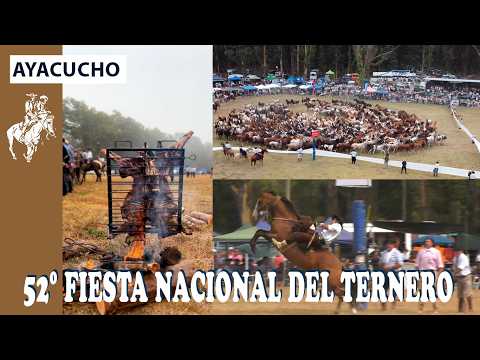 AYACUCHO 🐎 52º FIESTA NACIONAL DEL TERNERO Y DÍA DE LA YERRA - APADRINANDO Nº 444