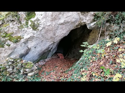 Altbergbau: kleine Höhle (?) nahe Altcarolusstollen