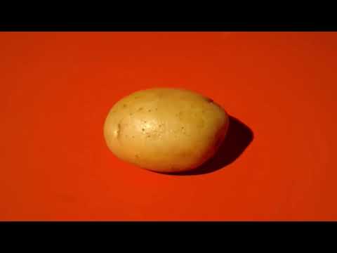 Reeses Big Potato Chip Cups commercial 2021