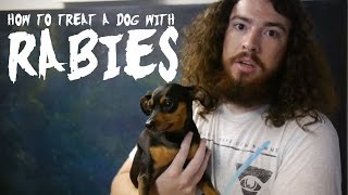 How to Treat a Dog with Rabies