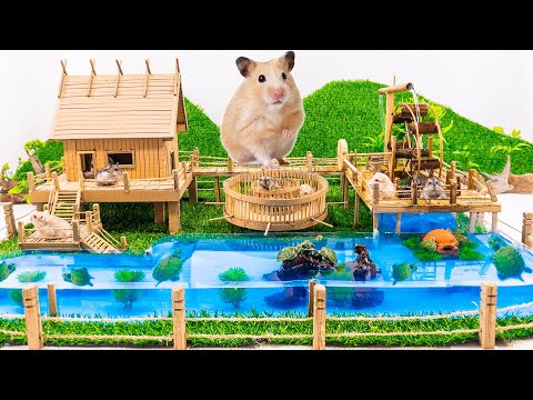 Build Hamster Maze - DIY Cardboard Hamster House and Turtle swimming pool
