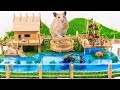 Build Hamster Maze - DIY Cardboard Hamster House and Turtle swimming pool