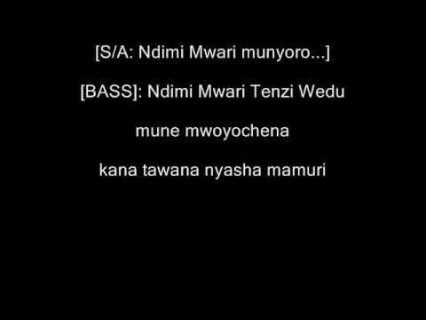 Zimbabwe Catholic Shona Songs - Mwari Ndimi Muzere Netsitsi with LYRICS