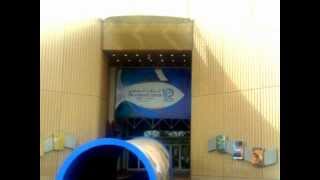 صورة الدولة الأموية