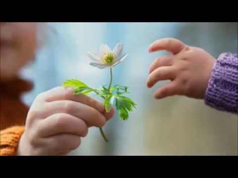 Pr.  Amilton Menezes  -  O coração humilde