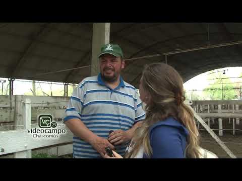 Remate de Cabaña La Esencia 2018