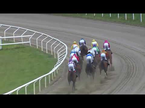 2019.08.04 Svenskt Oaks - Nouvelle Lune